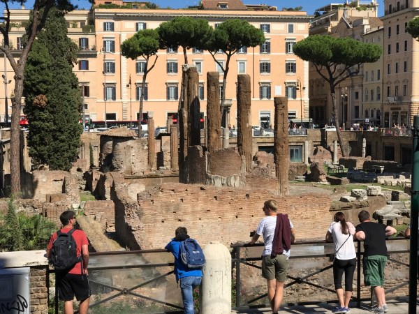 13E7F45A-C2EB-4F9A-BDD7-F1DDE84498D1.jpg 13E7F45A C2EB 4F9A BDD7 F1DDE84498D1