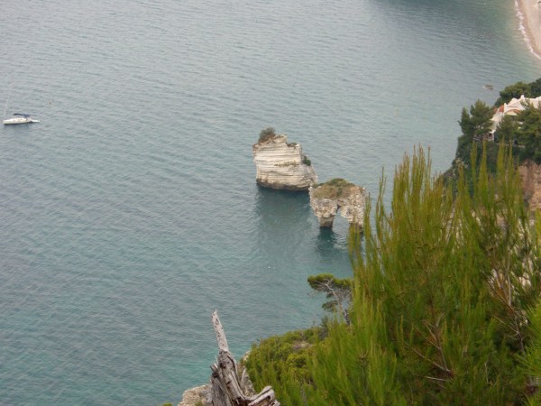 CIMG0848.jpg CIMG0848