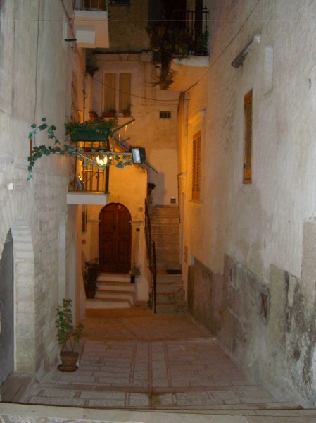 CIMG0871.jpeg CIMG0871