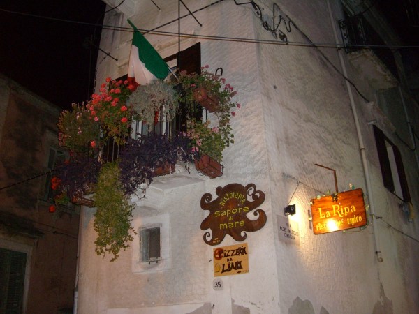 CIMG0872.jpg CIMG0872