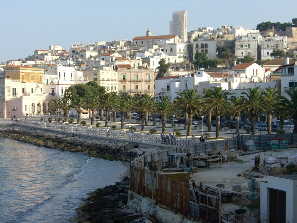 CIMG0925.jpg CIMG0925