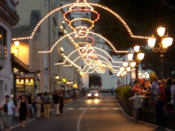 CIMG1385.JPG CIMG1385