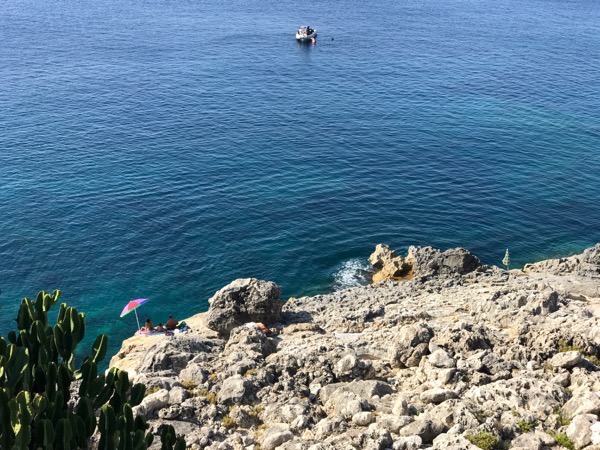 Scuba off the coast Pledmmirio