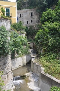 DSC_4089.JPG DSC 4089