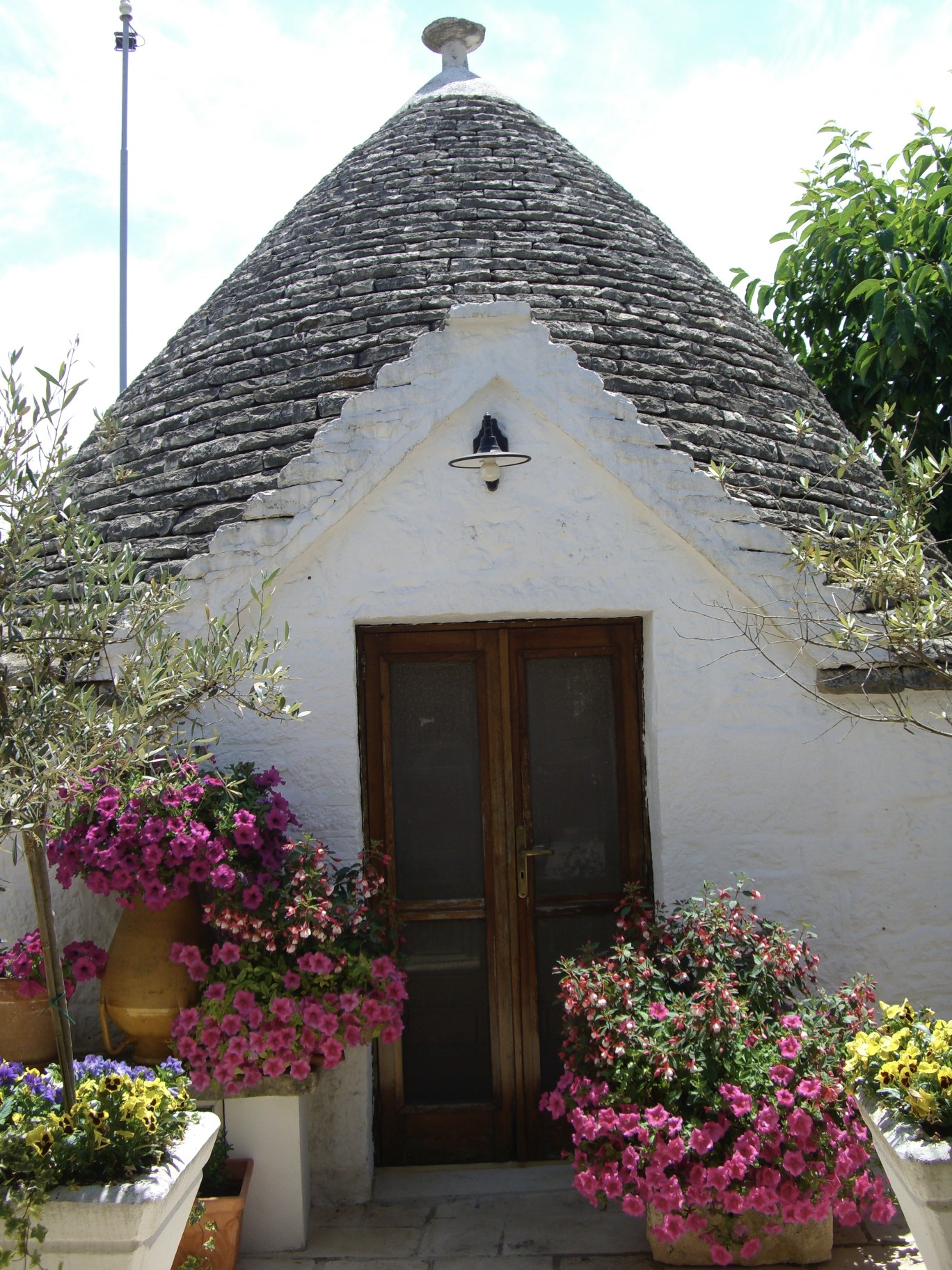 CIMG1101.jpeg CIMG1101