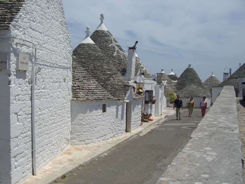 CIMG1109.jpg CIMG1109