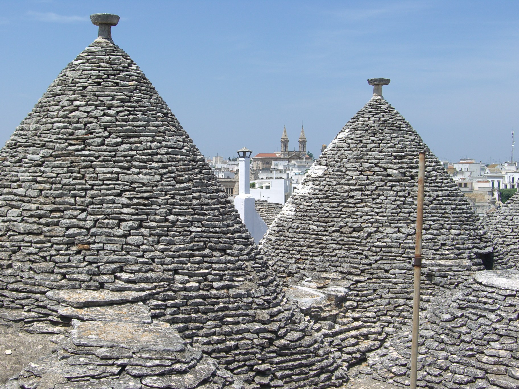 CIMG1125.jpg CIMG1125