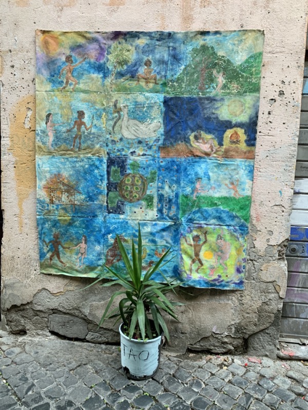 IMG_1127.jpeg IMG 1127