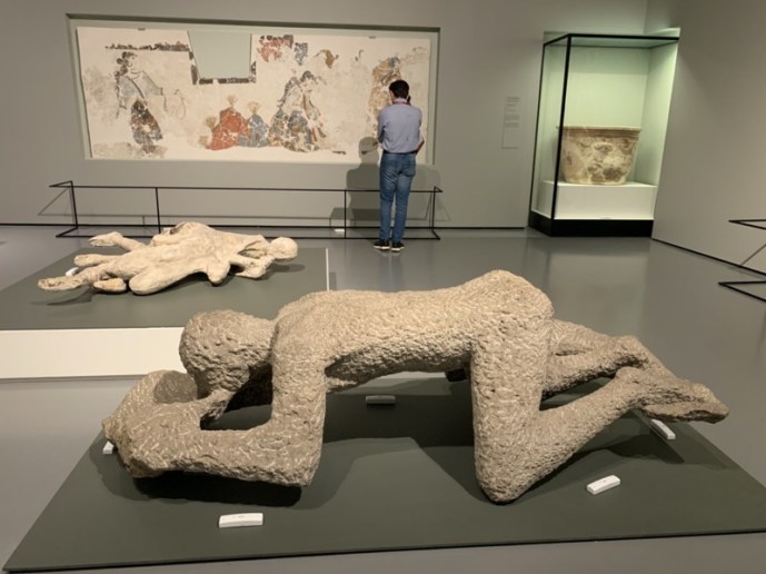 IMG_1201.jpeg IMG 1201