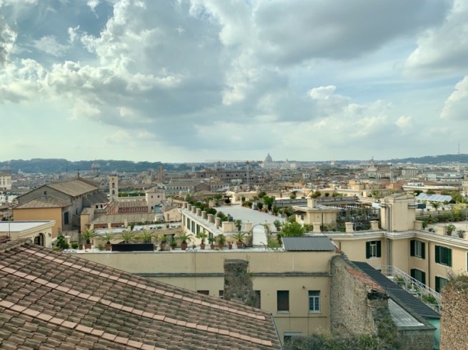 IMG_1237.jpeg IMG 1237